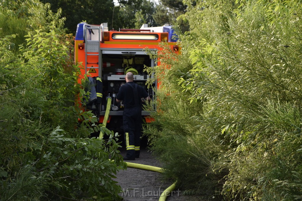 Waldbrand Koeln Hoehenhaus Hoehenfelder Mauspfad P051.JPG - Miklos Laubert